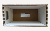 nucleo carton beenuk