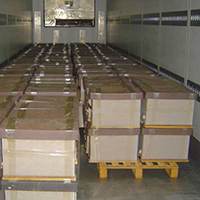 transporte enjambres